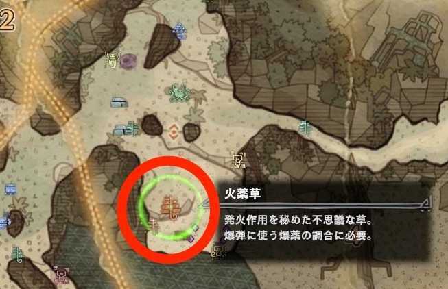 古代樹エリア4　火薬草