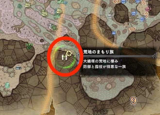 観察依頼7　エリア9