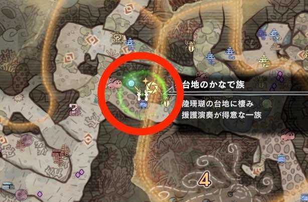 観察依頼　珊瑚3