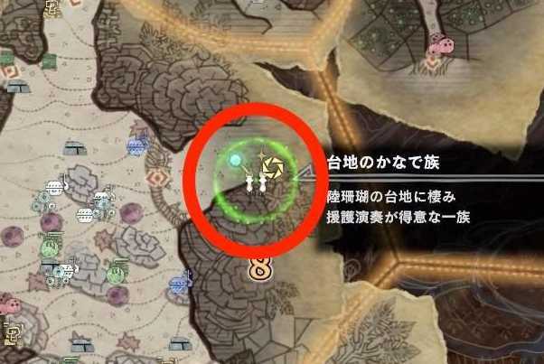 観察依頼　珊瑚8