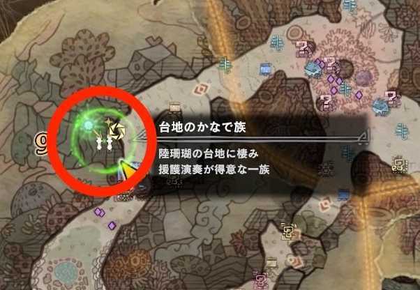 観察依頼　珊瑚9