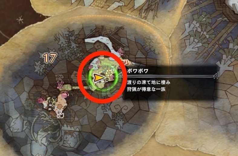 観察依頼20　エリア17