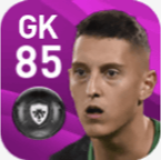 FPピエルルイージ・ゴッリーニ(2/10)の画像