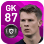 FPアレクサンダー・ニューベル(2/17)の画像