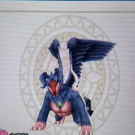 どっしりとした強いそうなモントナー5