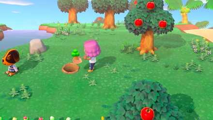 木を直接掘り起こせる