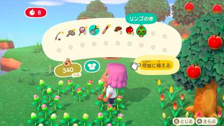 木はそのまま植えられる