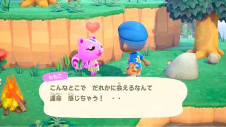 住民と会えることも