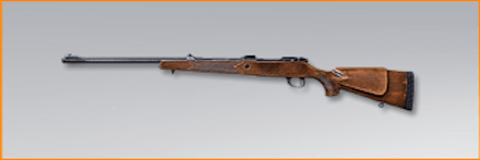 ゴールデンクマの画像