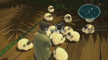 ひなチョコボ1回目