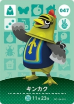 キンカクの画像