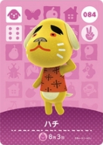 ハチの画像