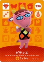 ピティエの画像