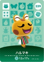 ハルマキの画像