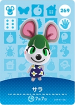 サラの画像