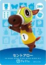 セントアロー画像