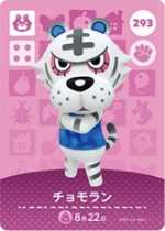 チョモラン画像