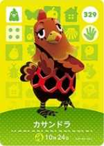 カサンドラ画像