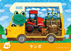 タンボの画像