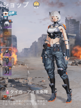 タイガーアイ後衛隊画像