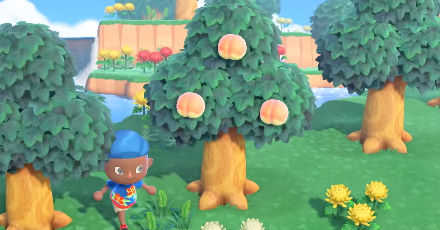 最初のフルーツ