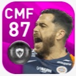 FPテジ・サヴァニェル(3/5)の画像