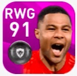 FPセルジュ・ニャブリ(3/5)の画像