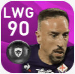 FPフランク・リベリ(3/9)の画像