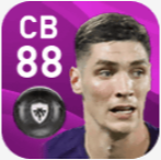 FPニコラ・ミレンコヴィッチ(3/9)の画像