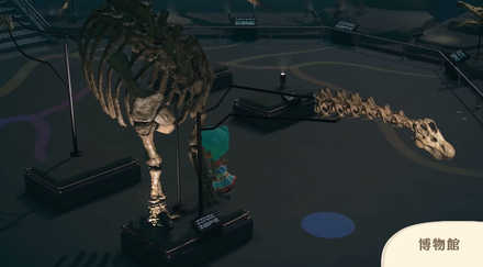 博物館の内装(化石)