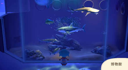 博物館の内装(魚)