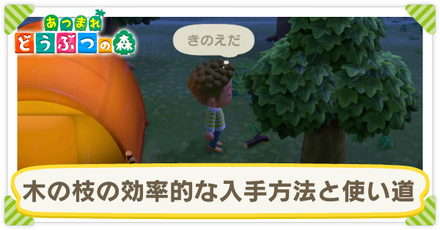 木の枝の効率的な入手方法と使い道