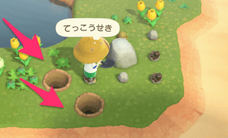 背中に穴を掘って岩を叩くとたくさん入手できる