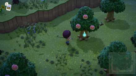 たましいはランダムで出現する