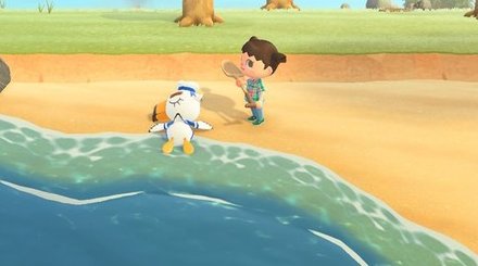 出現する日は海辺に倒れている