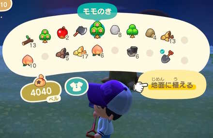 木を好きな場所に植え直せる