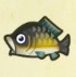 動森攻略:2月活動|2月海洋生物、魚類、昆蟲圖鑑整理(北半球)