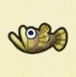 動森攻略:2月活動|2月海洋生物、魚類、昆蟲圖鑑整理(北半球)