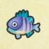 動森攻略:2月活動|2月海洋生物、魚類、昆蟲圖鑑整理(北半球)