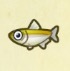 動森攻略:2月活動|2月海洋生物、魚類、昆蟲圖鑑整理(北半球)