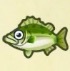 動森攻略:2月活動|2月海洋生物、魚類、昆蟲圖鑑整理(北半球)