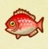 動森攻略:2月活動|2月海洋生物、魚類、昆蟲圖鑑整理(北半球)