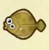 動森攻略:2月活動|2月海洋生物、魚類、昆蟲圖鑑整理(北半球)