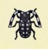 動森攻略:2月活動|2月海洋生物、魚類、昆蟲圖鑑整理(北半球)