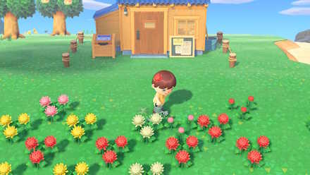 雑草・花・木の増殖と成長