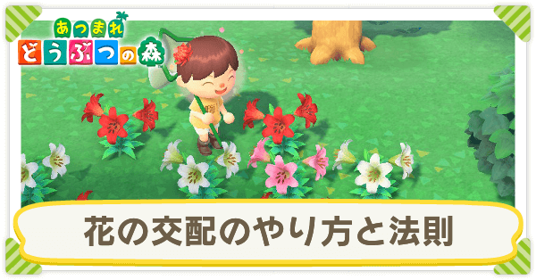 あつ森 花の交配表と効率的な植え方 あつまれどうぶつの森 ゲームエイト