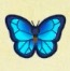 動森攻略:2月活動|2月海洋生物、魚類、昆蟲圖鑑整理(北半球)