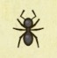 動森攻略:2月活動|2月海洋生物、魚類、昆蟲圖鑑整理(北半球)