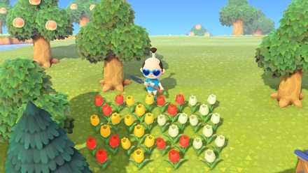 初期に生える花の種類で決める