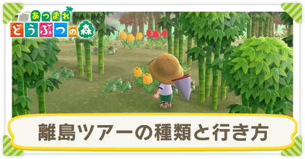 生え あつ ない たけのこ 森 【あつ森】竹(バンブー)が育たない時の対処法と竹を増やす方法｜アストロ note